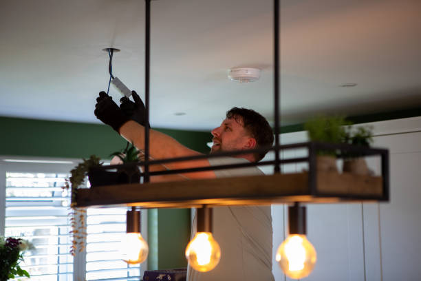 Best Electrician for Home Renovation  in Lake City, AR